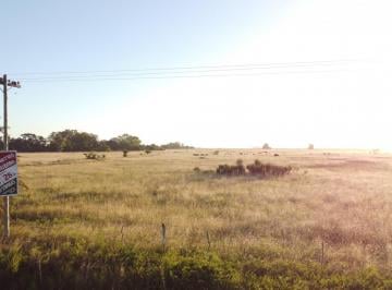 Campo · 360000m² · Campo - Venta - Frente Ruta - 36 Has (2 Fracciones) en Veronica C - 171