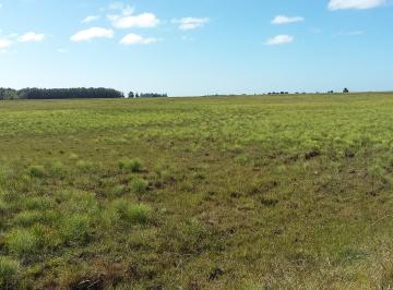 Campo , Punta Indio · Campo en Venta en Punta Indio - 12,5 Hectáreas
