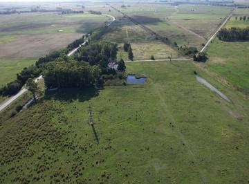 Campo en Venta  Álvarez Jonte · Campo en Venta en Punta Indio - 63 Hectáreas Sobre Ruta