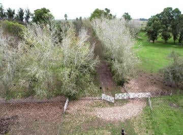 Campo , Magdalena · Campo en Venta en Magdalena - Sobre Ruta a 1 Hora de Caba!