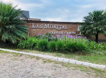 ISN-ISN-1557_2 · Lote. | Club de Campo Las Moritas - Tafí Viejo