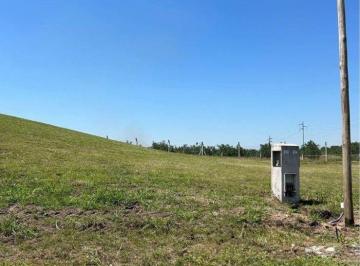 ISN-ISN-1607_2 · Lote. | Country Labradores 2 - Los Nogales