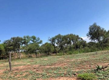 ISN-ISN-1644_2 · Lote. | Esquina Aragon y Braile