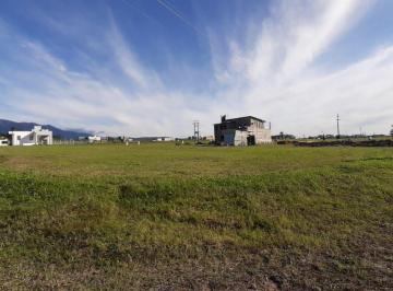 ISN-ISN-1656_2 · Lote. | El Lagar - Los Nogales