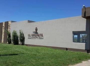 ISN-ISN-1671_2 · Lote. | Country La Herencia - Los Nogales