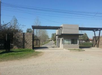 ISN-ISN-1672_2 · Lote. | Club de Campo Los Nogales - Los Nogales