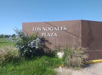 ISN-ISN-1770_2 · Lote. | Los Nogales Plaza - Los Nogales