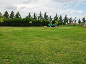 Terreno · 750m² · Lote en Venta en San Rafael - Villa Nueva