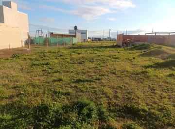 RRA-RRA-1163_2 · Terreno en Venta - Carlos Spegazzini