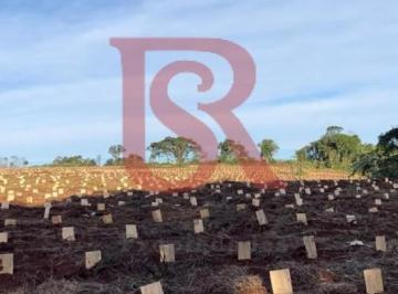 Campo · 170000m² · Lp - Oportunidad Chacra Yerbatera, Misiones