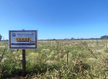 Terreno , San Andrés de Giles · Chacra Mixta | 2 Ha