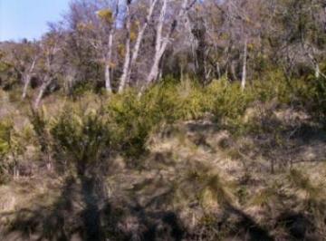 1 · Terreno Fraccion en Venta Ubicado en Rio Hermoso, San Martin de Los Andes