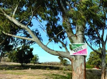 Terreno · 1000m² · Lote - Venta - Punta del Indio La Escondida