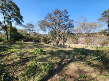 ISN-ISN-2019_2 · Lote. | El Cadillal