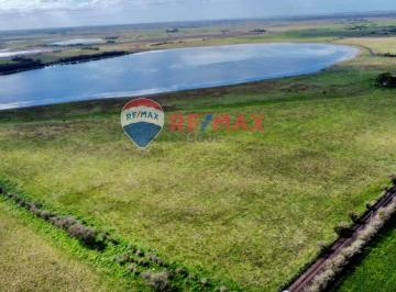 Campo · 200ha · Venta Chacra 22 Ha General Madariaga