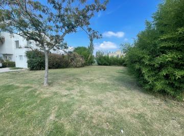 Terreno · 379m² · Espectacular Terreno en Venta en El Barrio Los Tilos