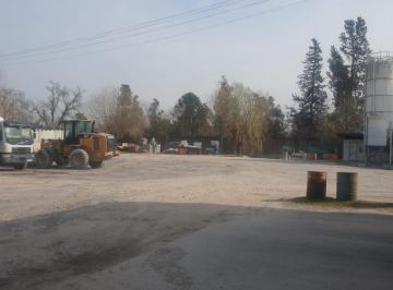 Bodega-Galpón , Moreno · Hormigonera 15.000 m Paso de Rey