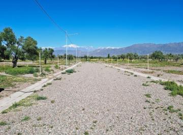 Terreno , Vistalba · Venta Lote en Callejón Privado. Vistalba Lujan de Cuyo. Mendoza