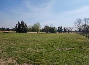 Terreno · 1275m² · Terreno Lote en Venta en Medal Cc, Pilar, G. B. a. Zona Norte
