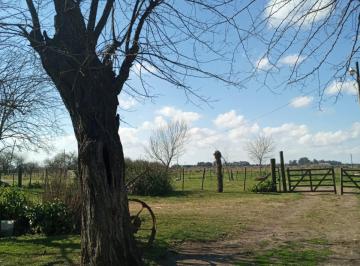 Campo , San Vicente · Venta Hectáreas en San Vicente