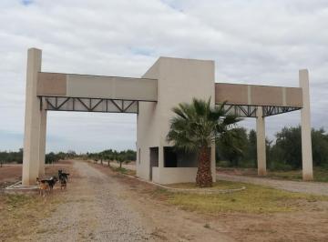 Terreno , San Roque · Lotes en Olivares de San Roque