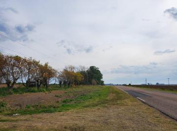 QUI-QUI-454_2 · Campo 13 Hectáreas |. | Ruta 12