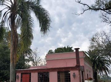 QUI-QUI-543_2 · Venta Campo 470has Agricola y Casco en Nogoya