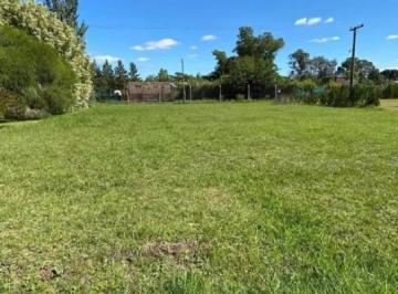 Terreno · 700m² · Venta - Lote / Terreno