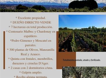 Campo de 6 ambientes, Agrelo · Excelente Propiedad. Finca en Producción. Mejor Zona Vitivinicola del Pais