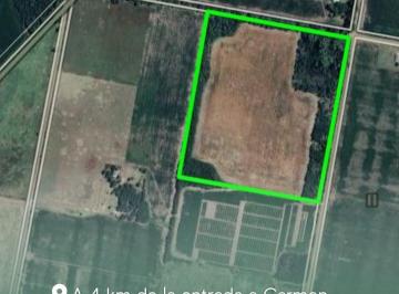 Campo , Carmen de Areco · Venta de 13 Has Agricolas ¡Vendido!