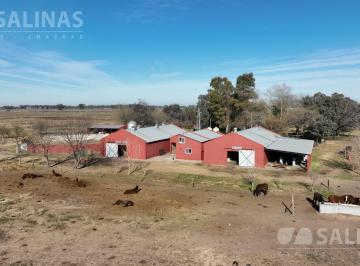 Campo · 840000m² · Haras en Mercedes