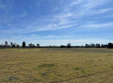 Campo · 119203m² · 1 Ambiente · Muy Buena Fracción con Excelente Ubicación