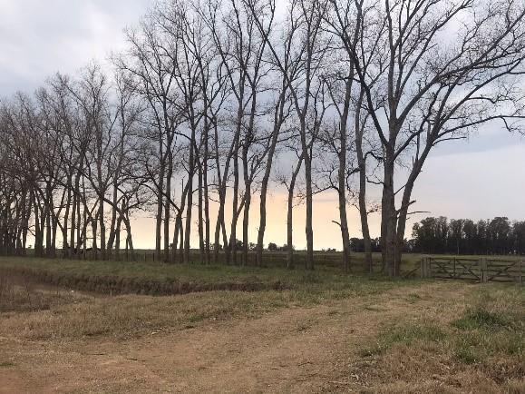 Campo · 460000m²