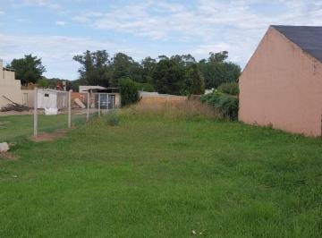 Terreno , Miramar · Terreno/lote en Venta Miramar
