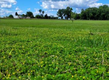 Terreno , Cañuelas · Terreno de 4138 m² en Venta en Uribelarrea