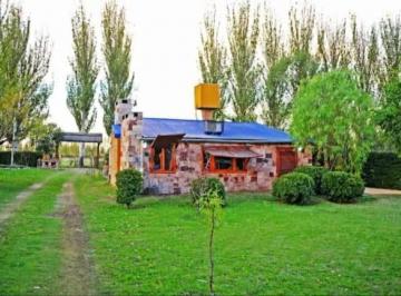 Casa de 5 ambientes, Rama Caída · Casa y Cabaña en Excelente Zona Turística (Calle Arancibia) San Rafael. Mendoza