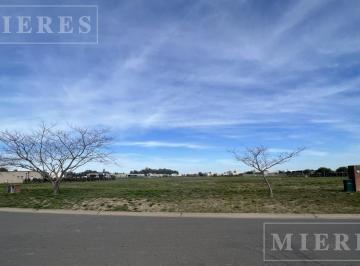 Terreno · 981m² · Lote Interno en Venta Área 12 San Sebastián