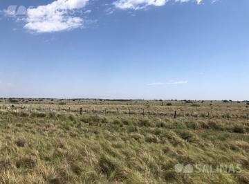 Campo · 45000000m² · 4.500 Ha Campo en San Luis