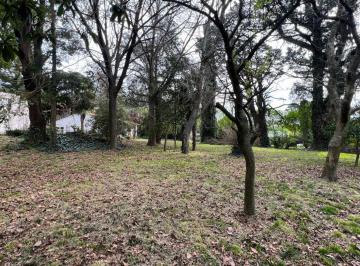 Terreno · 4000m² · Venta 4 Lotes en Esquina y Casa a Reciclar 4000 m