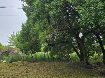 Terreno · 290m² · Terreno/ Lote - en Venta en Quequen Partido de Necochea