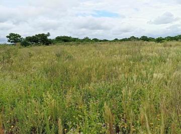 Campo · 18985m² · Campo de 2 Ha en Venta en Cayasta