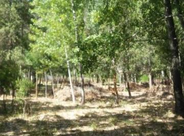 Terreno · 10000m² · Importante Lote de Terreno en Lago Puelo - Chubut