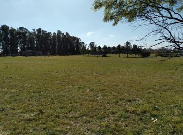 Terreno , Exaltación de la Cruz · Terreno 4700 m² en Chacras de La Cruz