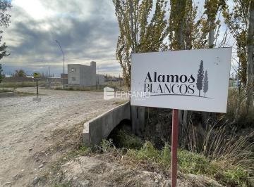 Terreno · 254m² · Venta - Lote en Barrio Abierto Alamos Blancos - T069
