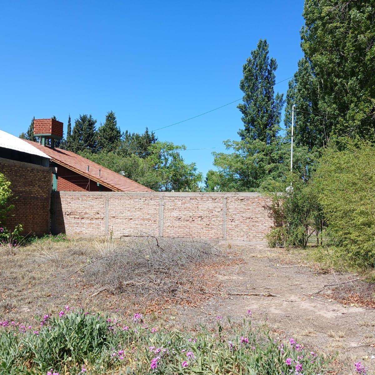 Callejón Maldonado esquina San Martin, Perdriel, Luján de Cuyo, Perdriel, Mendoza