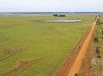 Campo · 122330000m² · Se Vende Campo Forestal - Ganadero en Santo Tome con Agua y Alto.