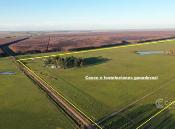 Campo · 8850000m² · Se Vende Campo Foresto - Ganadero de 885 Ha en Paraje Galarza. Iberá. Corrientes