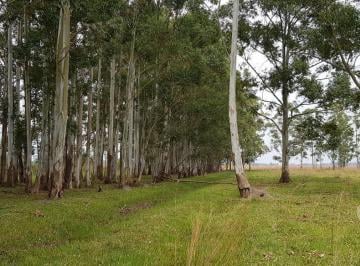 Campo · Se Vende Campo Sobre Los Esteros del Iberá. Paraje Galarza