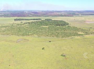 Campo · 4780000m² · Se Vende Campo en Gobernador Virasoro Corrientes. 478 Hectáreas. Tierra Colorada.