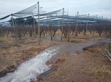 Terreno · 40000m² · Dos Fincas con Produccio